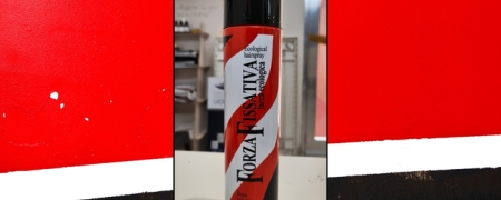 Forza Fissativa | Lacca Ecologica da 400ml